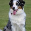 Hoffnung`s blue Sunshine    Ayla